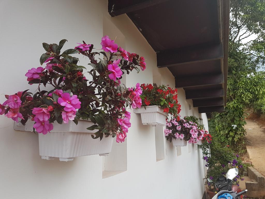 Gruenberg Tea Plantation Haus Bed & Breakfast Munnar Exterior foto