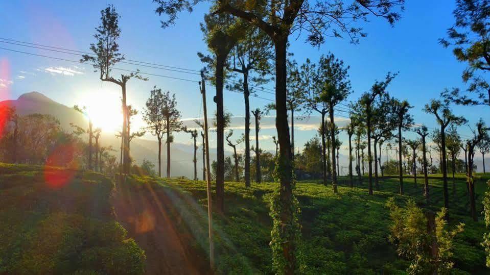 Gruenberg Tea Plantation Haus Bed & Breakfast Munnar Exterior foto