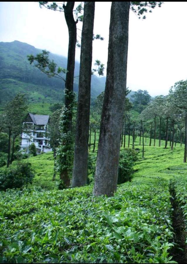 Gruenberg Tea Plantation Haus Bed & Breakfast Munnar Exterior foto