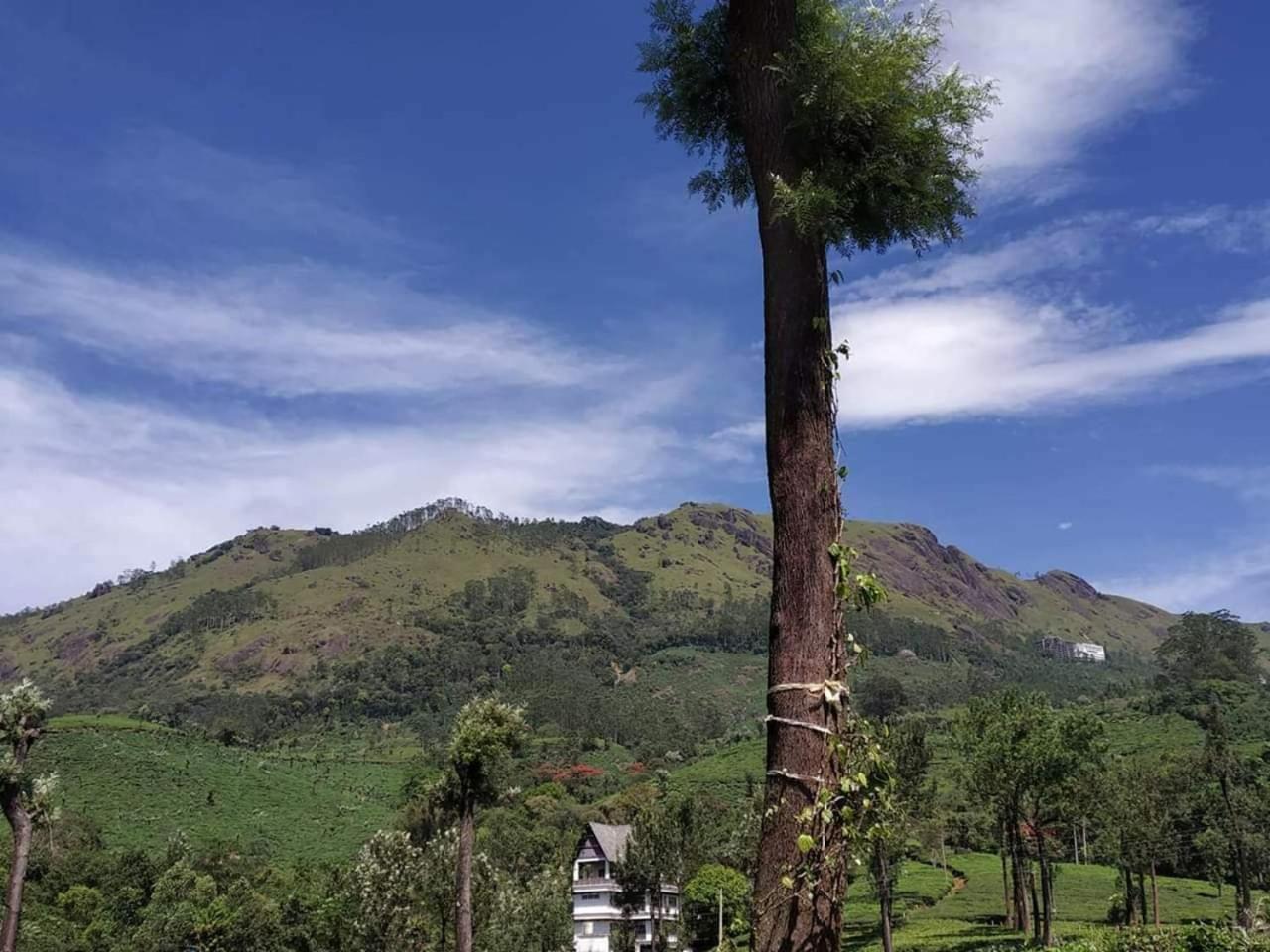 Gruenberg Tea Plantation Haus Bed & Breakfast Munnar Exterior foto
